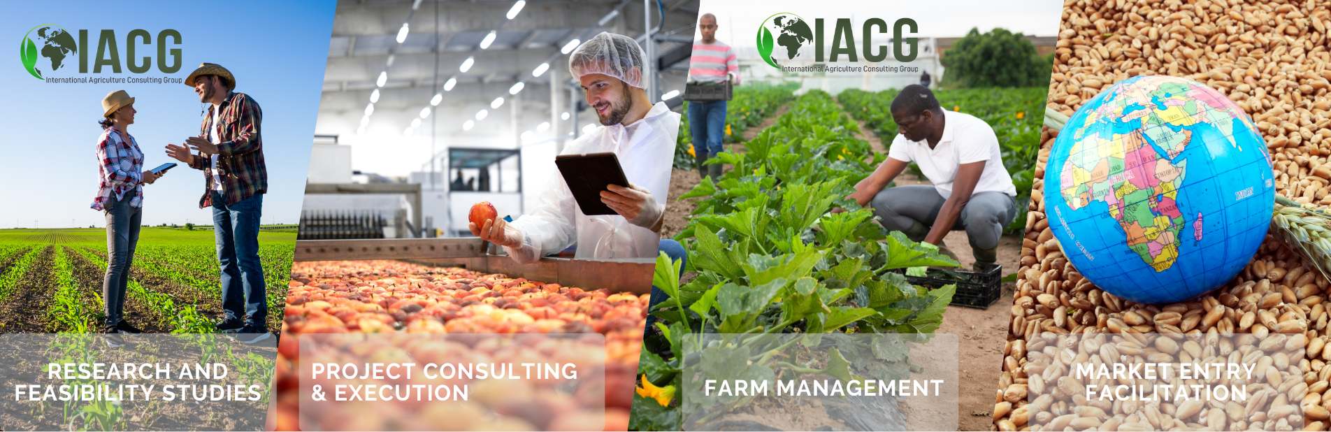  Food and Agribusiness Consulting 